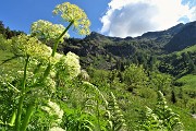 10 Primavera alla Conca di Mezzeno